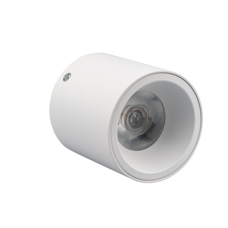 DOWNLIGHT SUPERFICIE 12W/20W 38º
